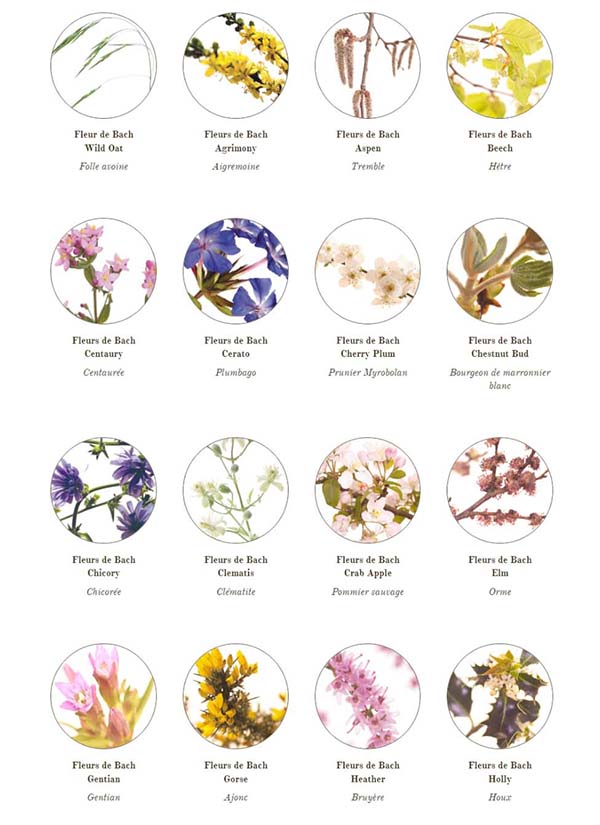 Fleurs