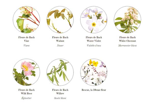 Fleurs